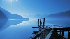 Nature Trees grass sun scenic skyscapes