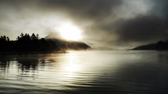 Nature Trees grass sun scenic skyscapes