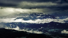 Nature Trees grass sun scenic skyscapes