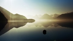 Nature Trees grass sun scenic skyscapes