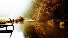 Nature Trees grass sun scenic skyscapes