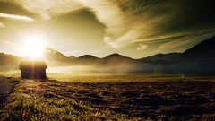 Nature Trees grass sun scenic skyscapes