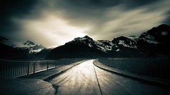 Nature Trees grass sun scenic skyscapes