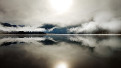 Nature Trees grass sun scenic skyscapes