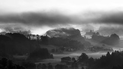 Nature Trees grass sun scenic skyscapes