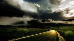 Nature Trees grass sun scenic skyscapes