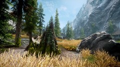 Nature Trees grass the elder scrolls v skyrim video games