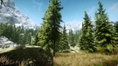 Nature Trees grass the elder scrolls v skyrim video games