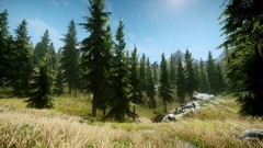 Nature Trees grass the elder scrolls v skyrim video games