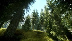Nature Trees grass the elder scrolls v skyrim video games
