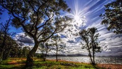 Nature Trees grass water sun clouds lakes HDR Photography 