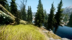 Nature Trees grass water the elder scrolls v skyrim video games