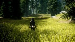 Nature Trees grass woman the elder scrolls v skyrim video games