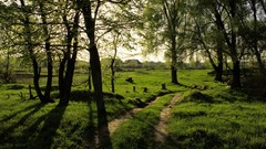Nature Trees Green forests Villages