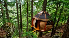 Nature Trees Green houses