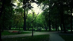 Nature Trees Green Parks