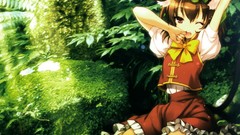 Nature Trees Green Plants hats socks red eyes sitting bows 