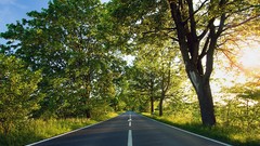 Nature Trees Green roads