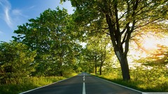 Nature Trees Green roads