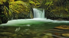 Nature Trees Green waterfalls