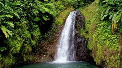 Nature Trees Green waterfalls