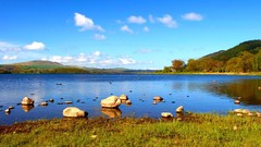 Nature Trees hills lakes