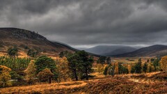 nature Trees hills landscape clouds