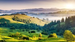 nature Trees hills mist landscape field