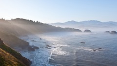 Nature Trees hills Seaside