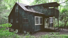 Nature Trees houses forests