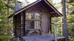 Nature Trees houses forests