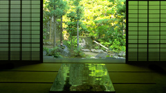 Nature Trees houses Japanese