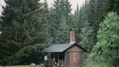Nature Trees houses pine trees