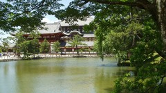 Nature Trees Japan architecture