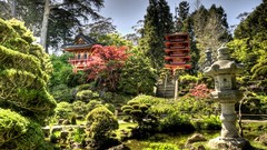 Nature Trees Japan Garden Temples Japanese gardens shrines