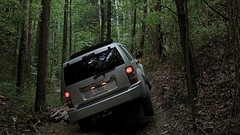 Nature Trees jeep SUV