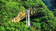 Nature Trees jungle waterfalls forests HDR Photography