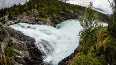 Nature Trees kayak rivers rapids