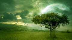 Nature Trees ladder Photo