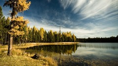 Nature Trees lakes