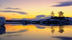 Nature Trees lakes reflections sunlight icebergs