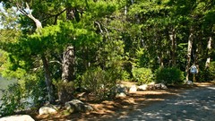 Nature Trees lakes USA forests