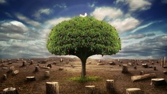 Nature Trees land artwork skyscapes Desktopography