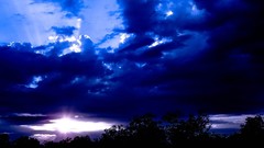 Nature Trees light heaven azure skies