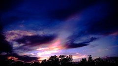 Nature Trees light heaven skies