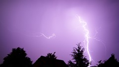 Nature Trees Lightning