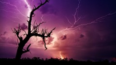 Nature Trees Lightning storm silhouettes