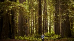 Nature Trees Men California USA forests