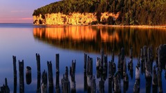 Nature Trees Michigan lakes