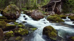Nature Trees mill houses rivers forests